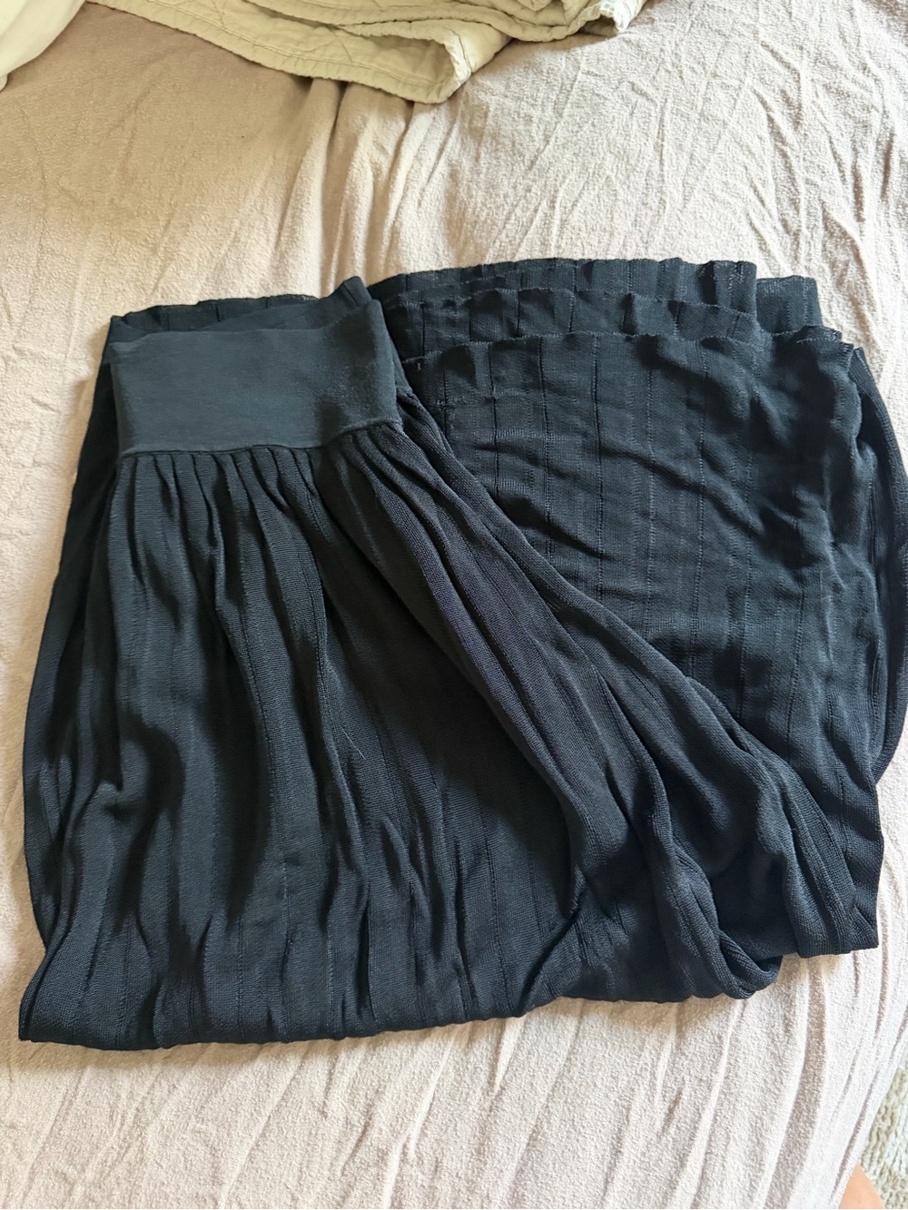 Everlane Black Pleated Midi Skirt